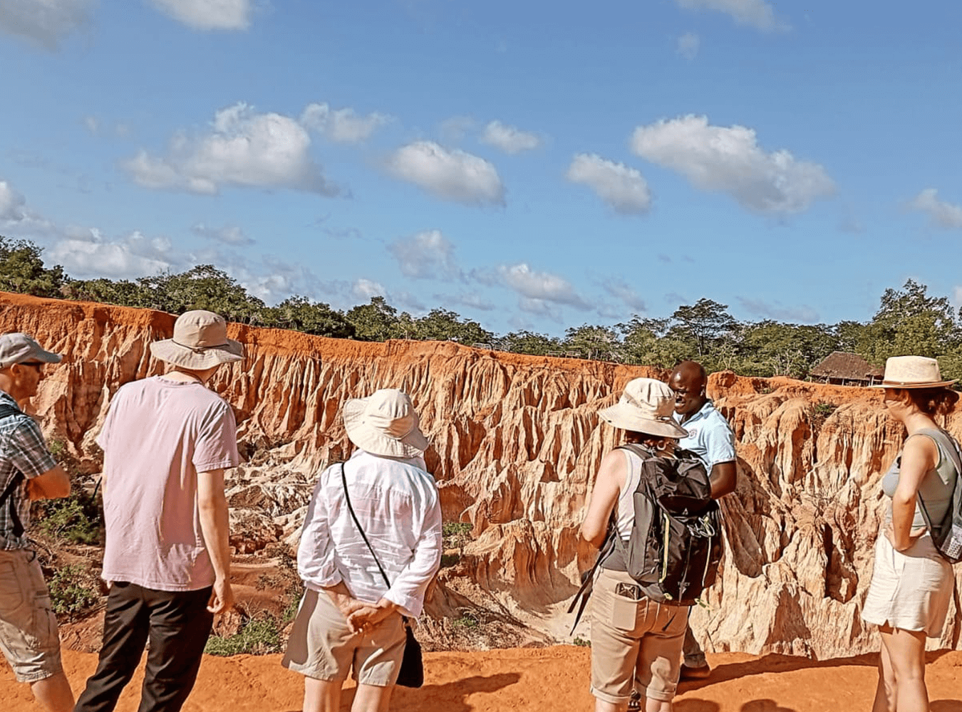 City Tours & Safari Adventures